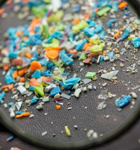 Microplastics Under a Magnifying Glass