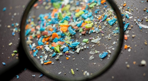 Microplastics Under a Magnifying Glass