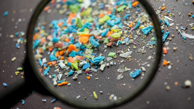 Microplastics Under a Magnifying Glass